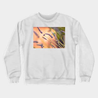 Dancing lavender Crewneck Sweatshirt